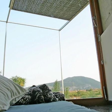 Centro De Agroecologia Y Medio Ambiente De Murcia Bullas Eksteriør billede