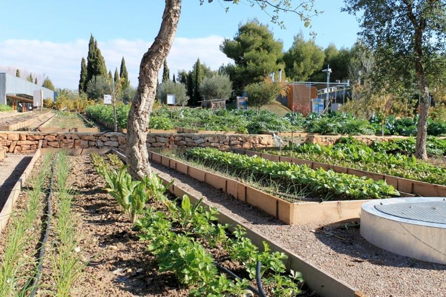 Centro De Agroecologia Y Medio Ambiente De Murcia Bullas Eksteriør billede
