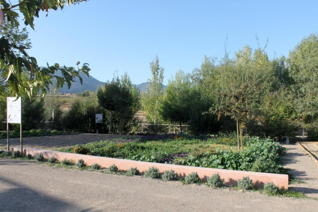 Centro De Agroecologia Y Medio Ambiente De Murcia Bullas Værelse billede