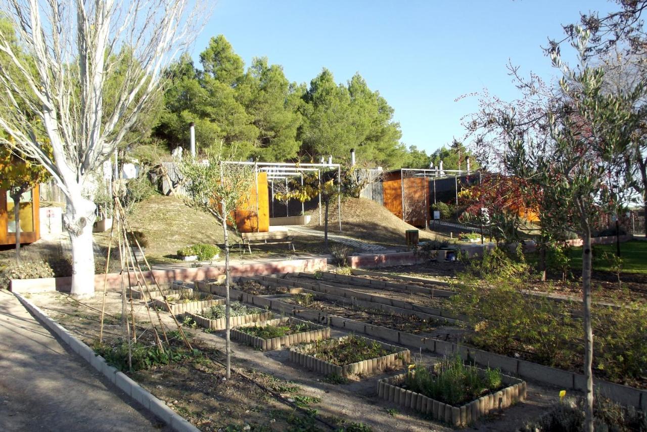 Centro De Agroecologia Y Medio Ambiente De Murcia Bullas Eksteriør billede
