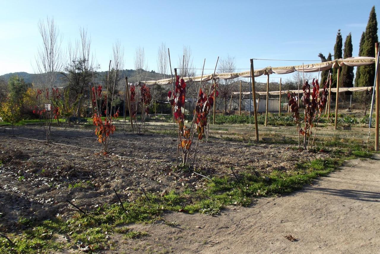 Centro De Agroecologia Y Medio Ambiente De Murcia Bullas Eksteriør billede