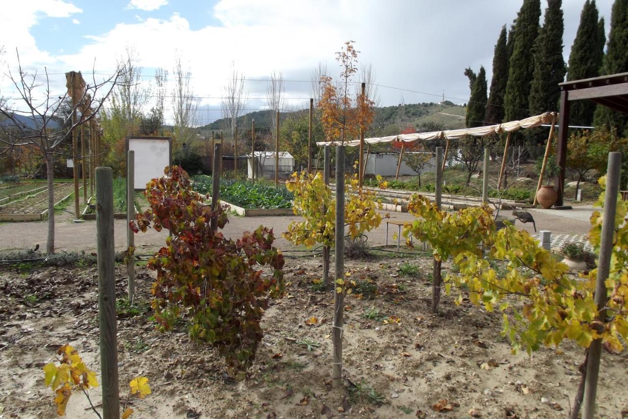Centro De Agroecologia Y Medio Ambiente De Murcia Bullas Eksteriør billede