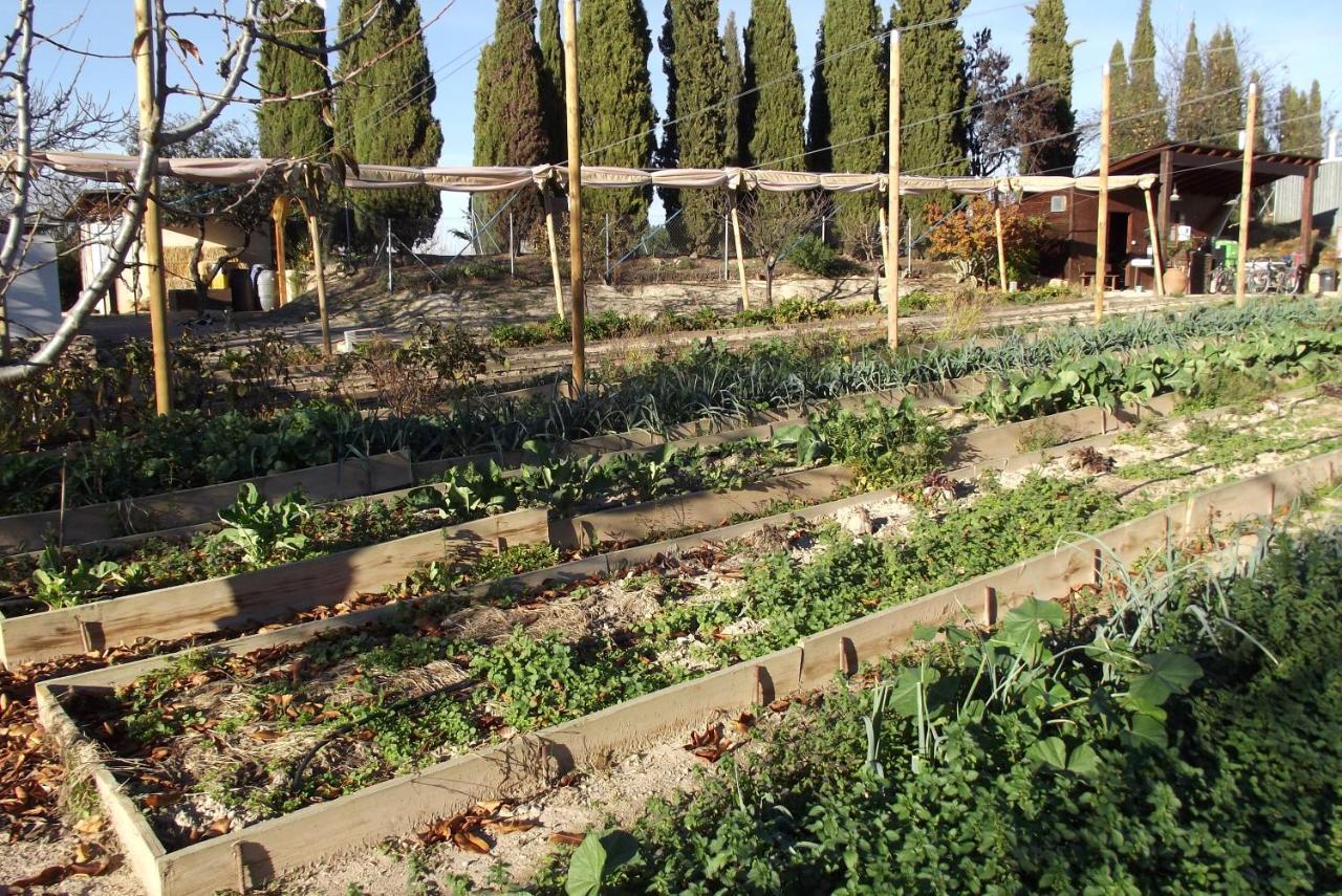 Centro De Agroecologia Y Medio Ambiente De Murcia Bullas Eksteriør billede